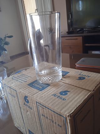 Vasos tubo