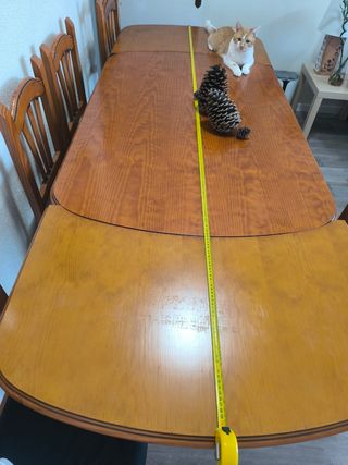 Mesa extensible + 6 sillas