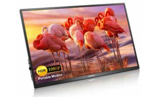 Corprit Portable 17.3-inch Full HD IPS #694564