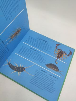 Mis vecinos los insectos pop up solapas