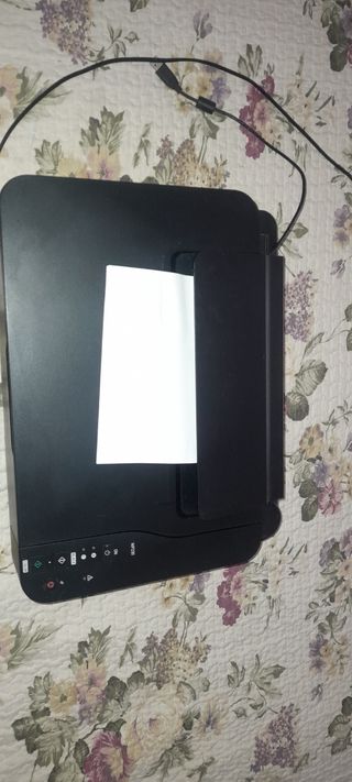Impresora/escaner Canon