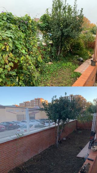 Jardinero profesional