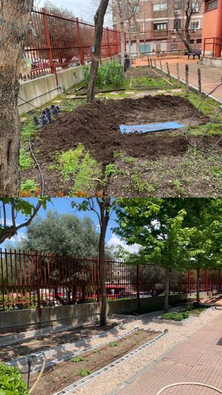 Jardinero profesional