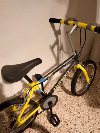 Bicicleta