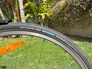 Bicicleta electrica ZEHUS