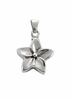 PLATA SWAROVSKI