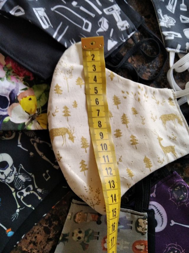 Lote 10 mascarillas (11)