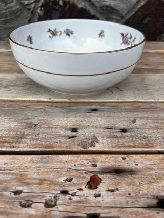 FRUTERO AVE PARAISO LIMOGES HAVILAND