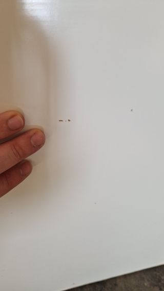 Puerta maciza blanca