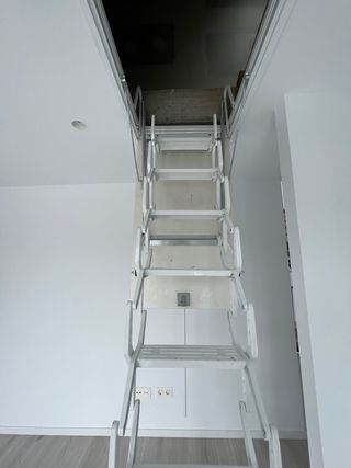 Esclera escamoteable