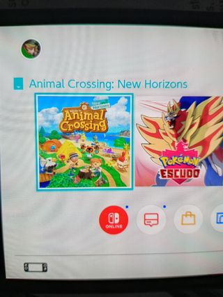 Animal Crossing New Horizons 