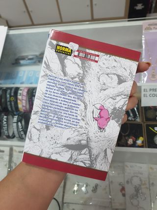 Manga Four Knights of the Apocalypse