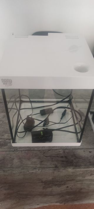 Acuario