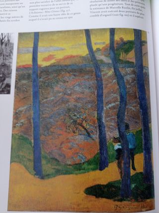 Libro Van Gogh Gauguin