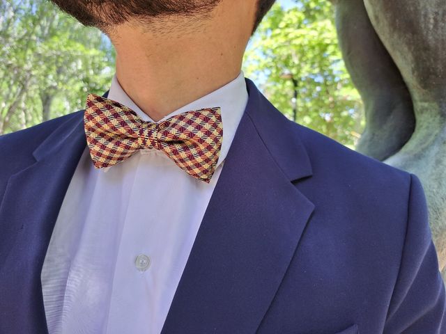 Pajarita Hecha a Mano - Handmade -seda