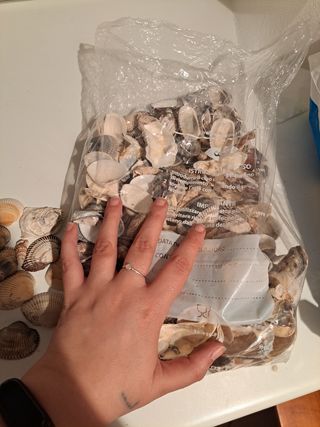 Decorazioni per acquario