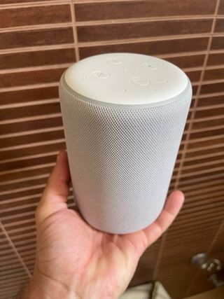 Amazon echo Alexa