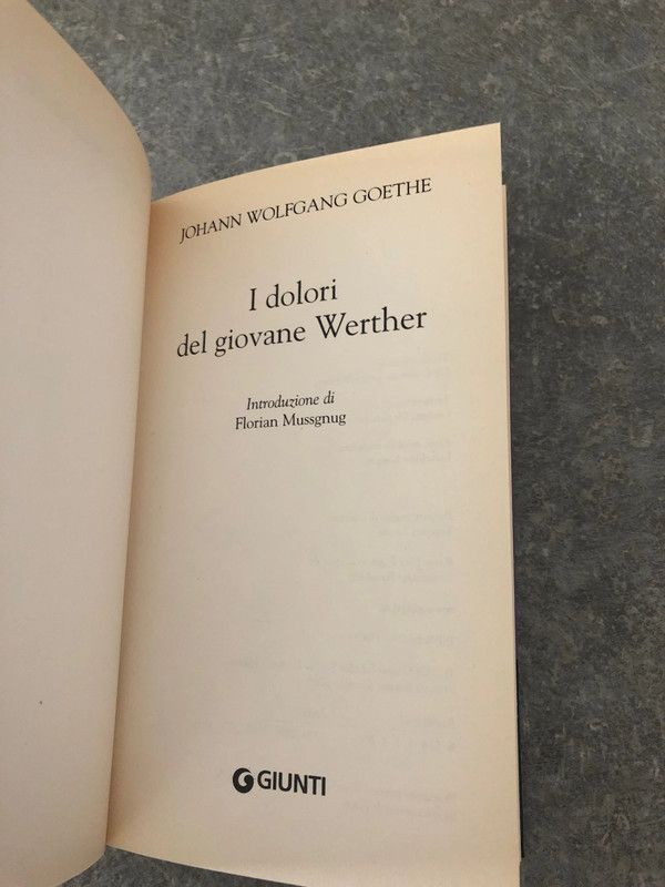 Goethe I dolori del giovane Werther