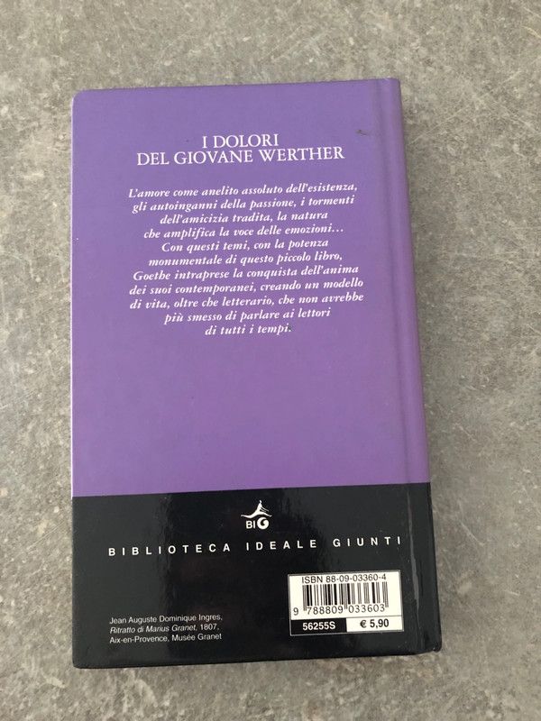 Goethe I dolori del giovane Werther