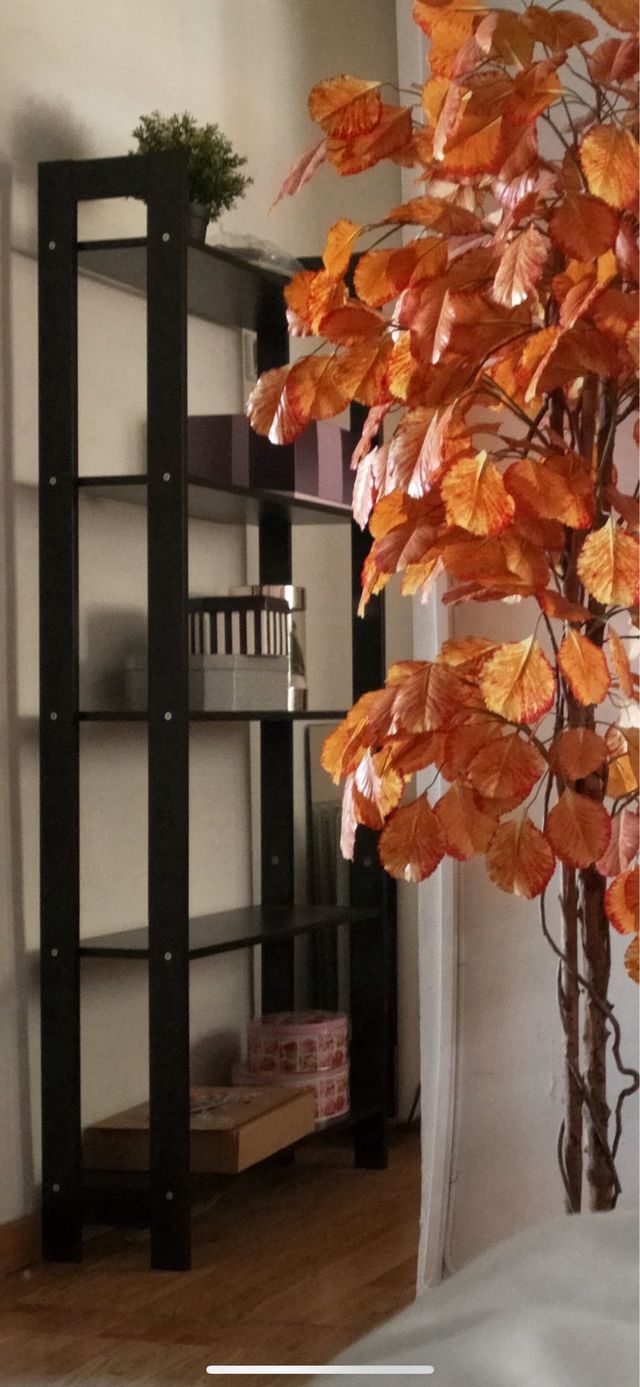 Estantería/ Librería 165cm x 62cm x 24,5cm