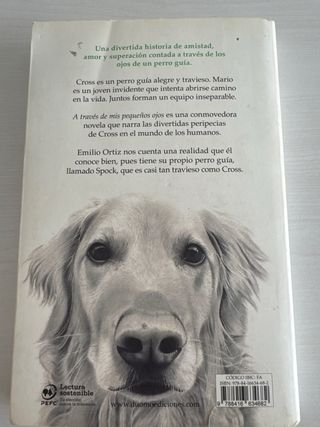 LIBROS A TRAVES DE MIS PEQUEÑOS OJOS