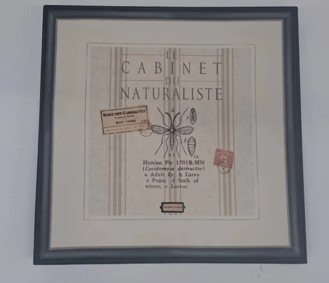 pack de tres cuadros decorativos vinatge 30 x30