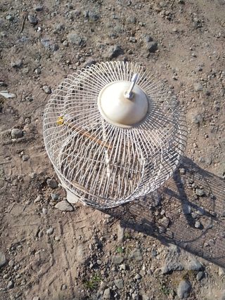 Jaula de pájaros