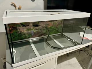 acuario 60 litros