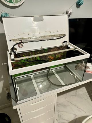 acuario 60 litros