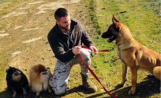 Adiestrador Canino