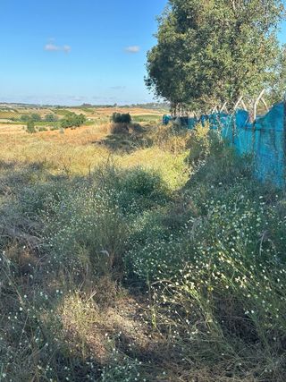 Desbrozes Parcelas, Finca, Mantenimiento jardines