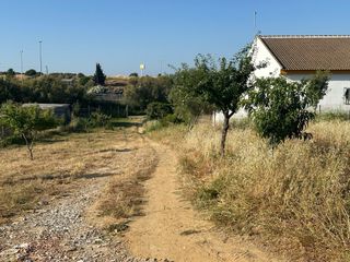 Desbrozes Parcelas, Finca, Mantenimiento jardines