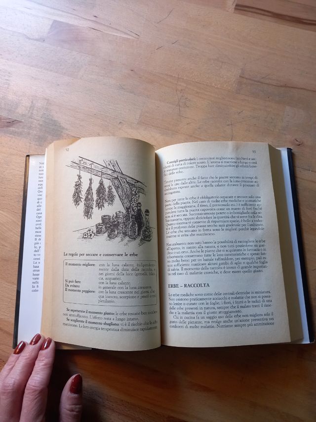 Dizionario della Luna