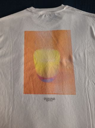 Camiseta Zara hombre.