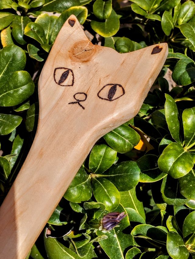 Cuchara de Pino Gato