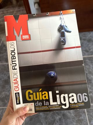 Guia de la liga 06