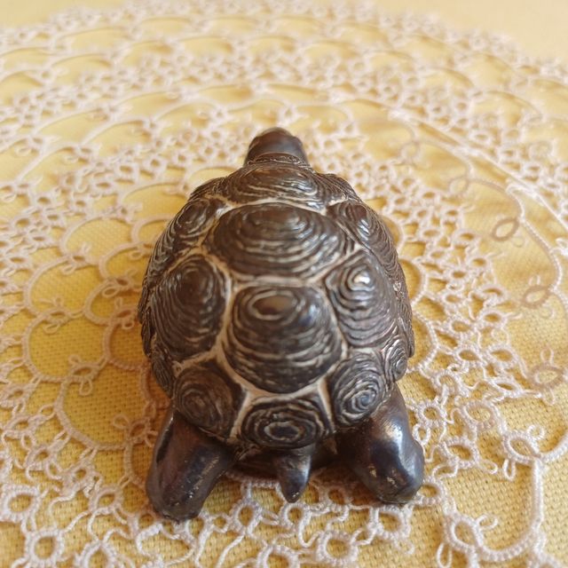 Tartaruga firmata Magrino, ricoperta.arg