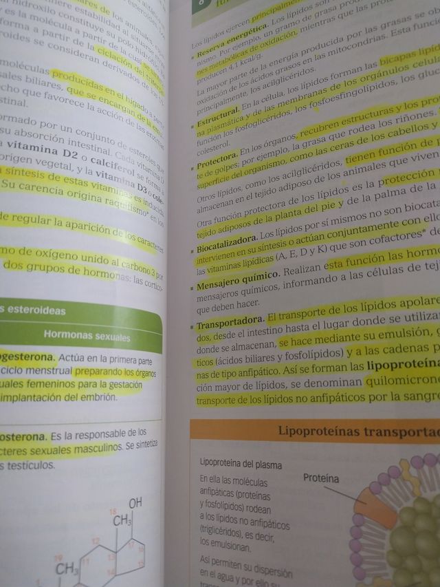 Libro de biología
