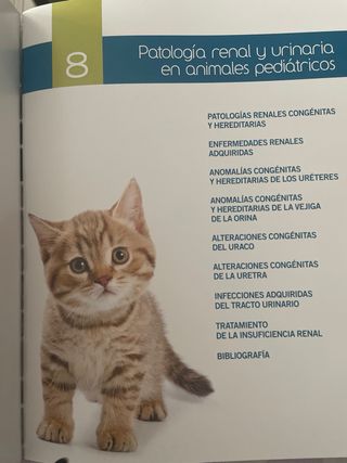 Medicina Pediátrica en Pequeños Animales