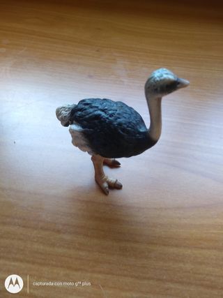 Lote de animales variados Schleich.
