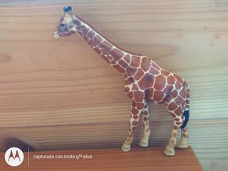 Lote de animales variados Schleich.