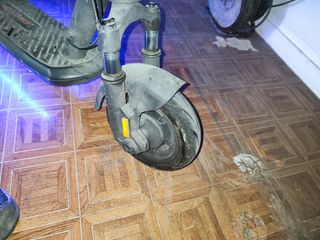 Patinete lemotion s1f