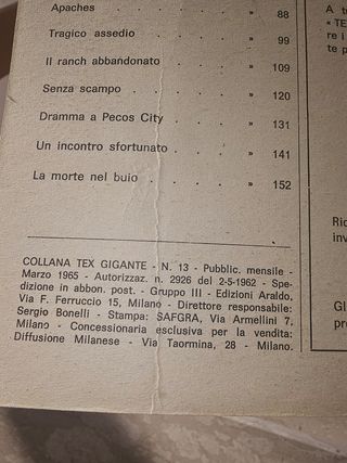Fumetto TEX Willer n°13 L'intrepido