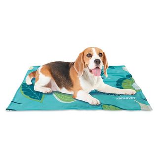 Alfombra refrescante para perros