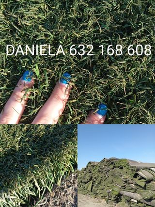 Césped artificial reciclado