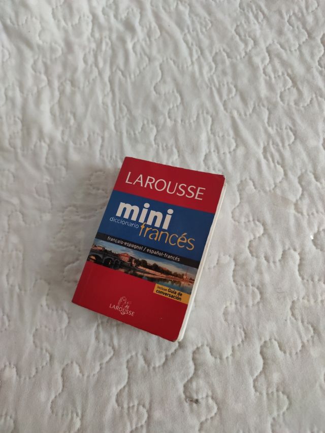 Mini diccionario francés español