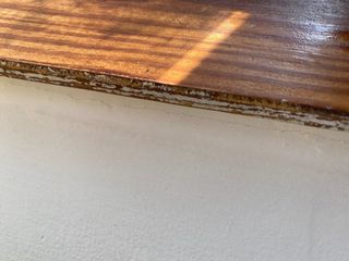 SE REALIZAN LIMPIEZAS