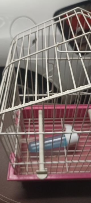 Jaula pájaros nueva