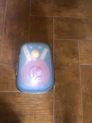 Juego pin-pon