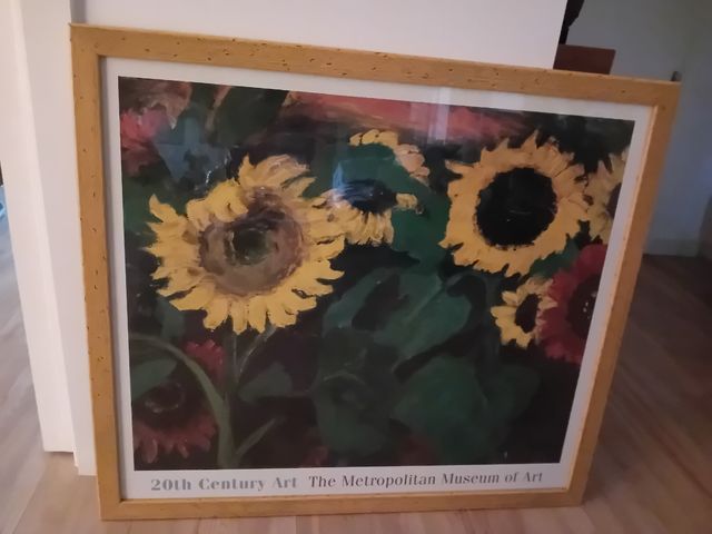 Cuadro lamina gira-sols de Bangkok